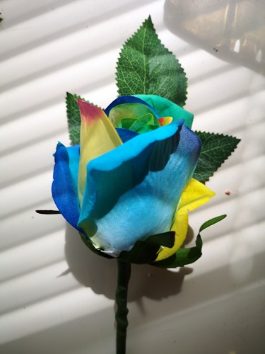 Zijderoos Grote Regenboog roos 54cm VELVET TOUCH SINGLE ROSEBUD RAINBOW BLUE/YELLOW/GREEN/ stuk Chic Regenboogroos per stuk, zie foto 2