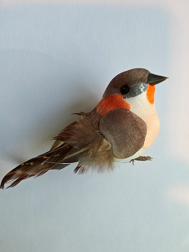 Vogeltje Bruintinten op draad / st mooi vogeltje op draad