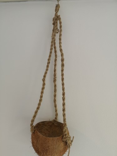 Actie Coconut Plantenhanger Cocodama Kokodama natuurproduct