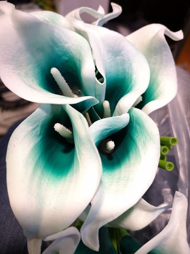 Calla Real Touch WIT+ Teal Center +/- 7 cm. en 37cm lang. / st Calla Real Touch +/- 7 cm.