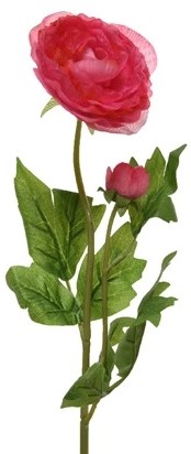 Actie Ranonkel Camelia DONKERROZE L.8cm W.10cm H.57cm / stuk Ranonkel Camelia zijdebloem 