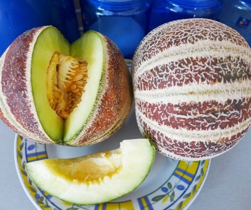 Kajari Suikermeloen aanrader Geurmeloen
