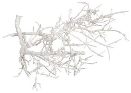 Dry tree, stronk, tak twijg White Wash +/- 250 gr Zeer decoratief