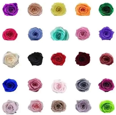 Geconserveerde rozen Pink Peach Doos 8 Geconserveerd