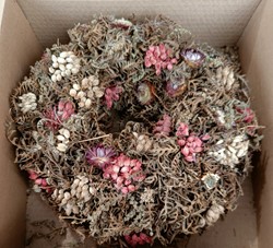 Krans Droogbloemen Wr. Joyfull Ferule D25.0 Roze krans droogbloemen