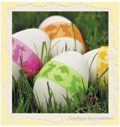 Lint Spring/ Lente Bunny  22 mm / rol 15meter 