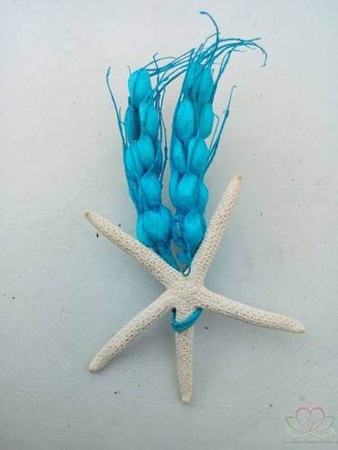 MaatwerkCorsage Zeester Aqua Gerst+magneet Maatwerk corsage
