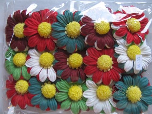 Mulberry Chrysant Christmas mixed +/-65 mm / PAK15 Mulberry Chrysantje