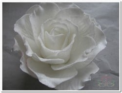 foam Rose Sophie 15cm. snow White Doos12 voordeelpak