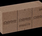 Oasis NATUREBASE BIO Floral foam Brick doos 20 Voor vers, droog of zijde Oasis Ideaal 20