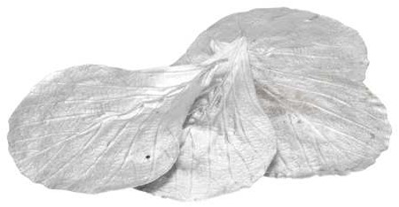 Cobra blad Cobra leaves Zilver  20pcs Cobra bladeren Full Silver