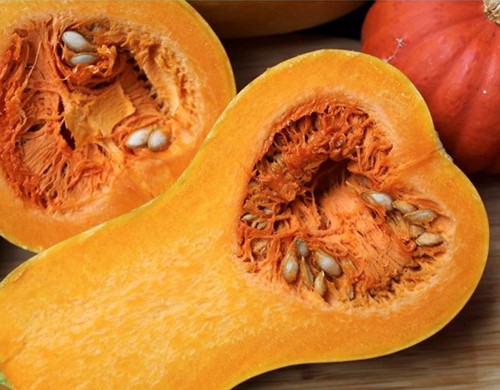 Butternut Pancho F1 Hoge productie flespompoen