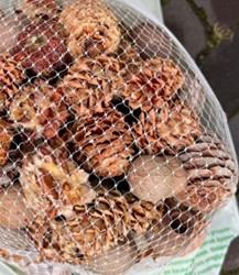 Net Leucadendronmix 250 gram Net Leucadendronmix 250 g