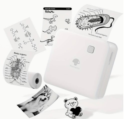 Mini Fotoprinter zwartwit Labelprinter Labelmaker WIT Phomemo M02PRO 300DPI incl software / st Print labels vanaf je tablet of telefoon EN zonder inkt 