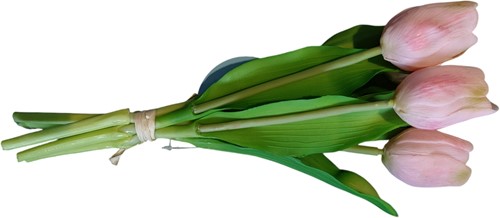 Actie Tulp Tulpen Real Touch ROZE Bundel 5st Luxe Siliconen Latex Real Touch Tulpen