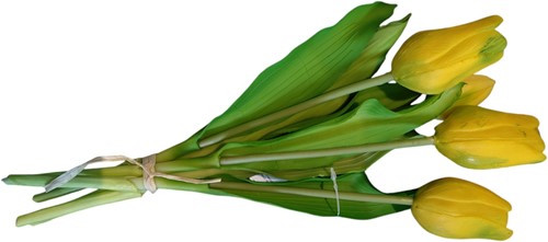 Actie Tulp Tulpen Real Touch GEEL Bundel 5st Luxe Siliconen Latex Real Touch Tulpen
