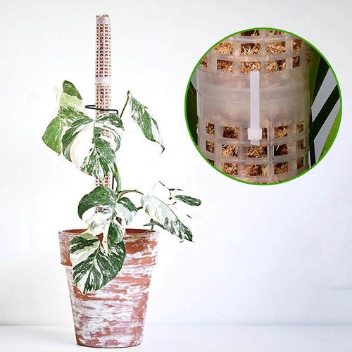 Mosstok OPZETSTUK Clear om te vullen met veenmos Planten totem  Opbinden van planten-2