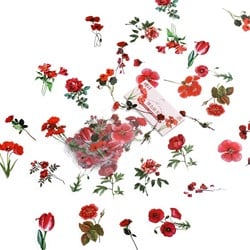 Bloemetjes en blaadjes ROOD voor bv Epoxy voor Epoxy Resin, Zeep, Kaarsen excl decoraties