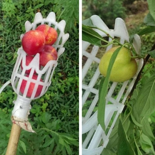 Fruitplukker wit Kleiner zonder steel
