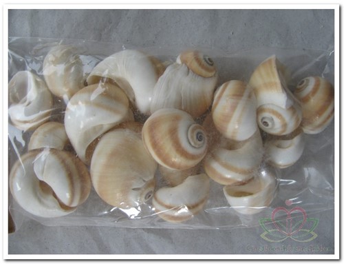 Actie Mattugan schelpen 200 gram van E 4.39 voor E 2.49