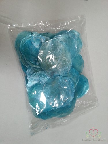 Capiz shell Camar Azure 500 gram Geverfde schelpen