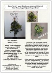 DIY Werkbeschrijving  Toef met Ster Creatief bloemschikken of knutselen