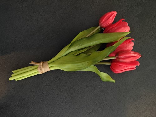 Actie Tulp Tulpen Real Touch ROOD Bundel 5st Luxe Siliconen Latex Real Touch Tulpen