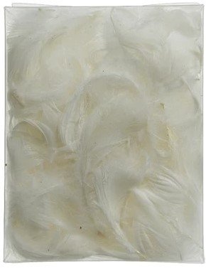 Veren Veertjes Wit +/- 5 cm Pakje  Veren Wit