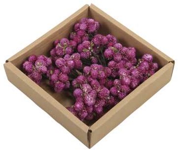 Daisy Purple Naturel Possy on wire 50st/doos Daisy op draad