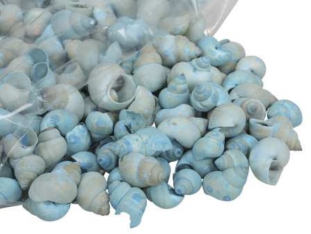 Umachi schelpen blauw, 500 gram