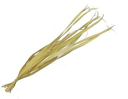 Palmblad Geel 80-95cm lengte van de bundel +/- 10 bladeren voorjaar boeketvuller