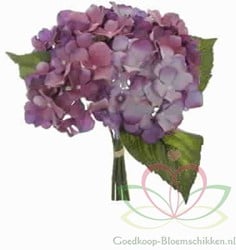 Hortensia Boeketje met *5 PURPLE ZIJDE Hortensia