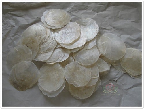 Capiz Camar schelpen   500 gram 