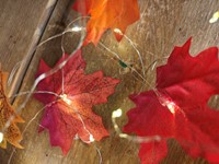 Blad zijde Herfstblad Maple Leaf Esdoornblad /20st Blad zijde blaad Mix om bv zelf Lichtstreng te maken-2
